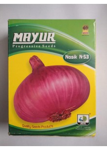Mayur Nasik (N-53) Onion 